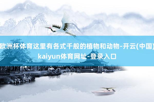 欧洲杯体育这里有各式千般的植物和动物-开云(中国)kaiyun体育网址-登录入口