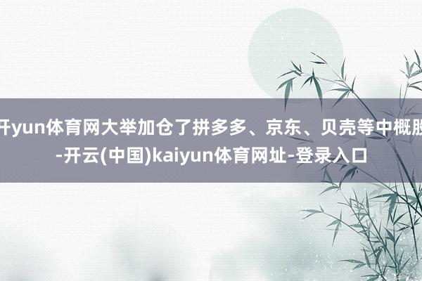 开yun体育网大举加仓了拼多多、京东、贝壳等中概股-开云(中国)kaiyun体育网址-登录入口