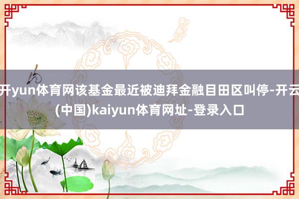 开yun体育网该基金最近被迪拜金融目田区叫停-开云(中国)kaiyun体育网址-登录入口