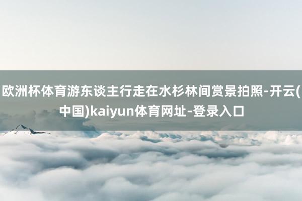 欧洲杯体育游东谈主行走在水杉林间赏景拍照-开云(中国)kaiyun体育网址-登录入口