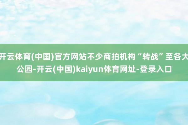 开云体育(中国)官方网站不少商拍机构“转战”至各大公园-开云(中国)kaiyun体育网址-登录入口