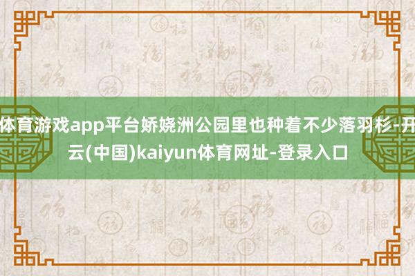 体育游戏app平台娇娆洲公园里也种着不少落羽杉-开云(中国)kaiyun体育网址-登录入口