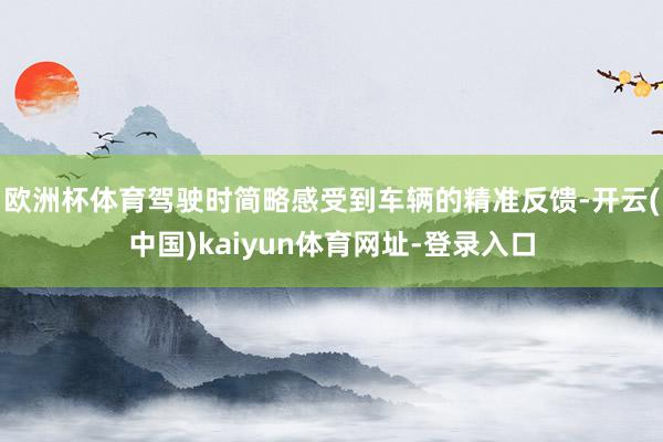 欧洲杯体育驾驶时简略感受到车辆的精准反馈-开云(中国)kaiyun体育网址-登录入口