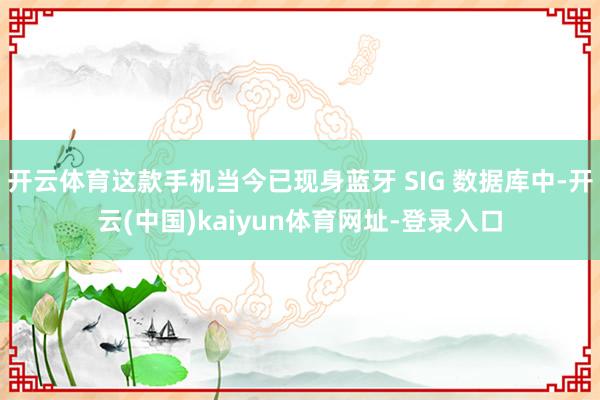 开云体育这款手机当今已现身蓝牙 SIG 数据库中-开云(中国)kaiyun体育网址-登录入口
