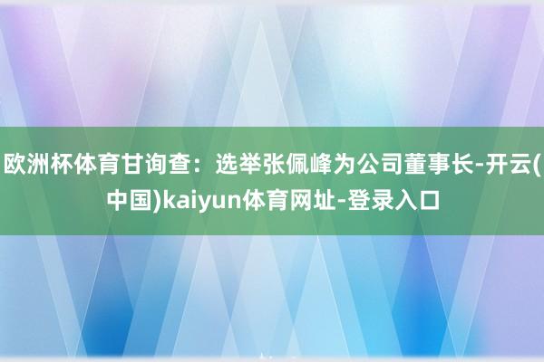欧洲杯体育甘询查：选举张佩峰为公司董事长-开云(中国)kaiyun体育网址-登录入口