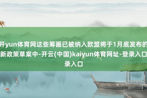 开yun体育网这些筹画已被纳入欧盟将于1月底发布的新政策草案中-开云(中国)kaiyun体育网址-登录入口