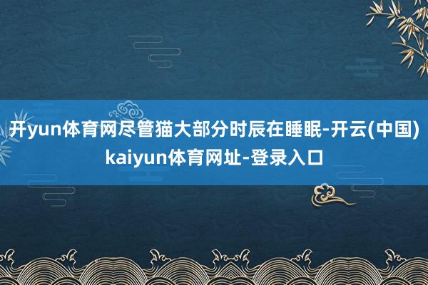 开yun体育网尽管猫大部分时辰在睡眠-开云(中国)kaiyun体育网址-登录入口