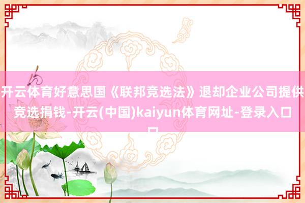 开云体育　　好意思国《联邦竞选法》退却企业公司提供竞选捐钱-开云(中国)kaiyun体育网址-登录入口