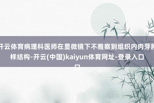 开云体育病理科医师在显微镜下不雅察到组织内肉芽肿样结构-开云(中国)kaiyun体育网址-登录入口