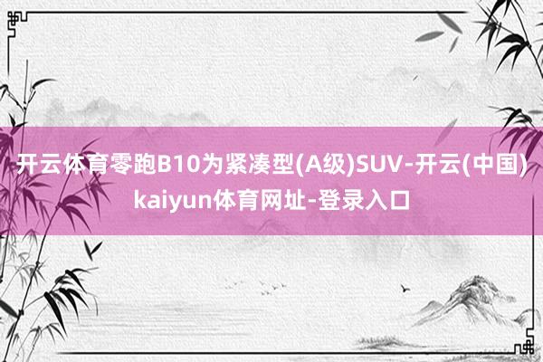 开云体育零跑B10为紧凑型(A级)SUV-开云(中国)kaiyun体育网址-登录入口
