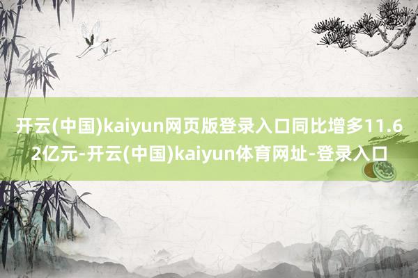 开云(中国)kaiyun网页版登录入口同比增多11.62亿元-开云(中国)kaiyun体育网址-登录入口