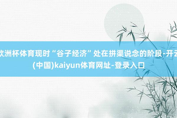 欧洲杯体育现时“谷子经济”处在拼渠说念的阶段-开云(中国)kaiyun体育网址-登录入口