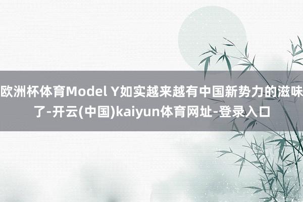 欧洲杯体育Model Y如实越来越有中国新势力的滋味了-开云(中国)kaiyun体育网址-登录入口
