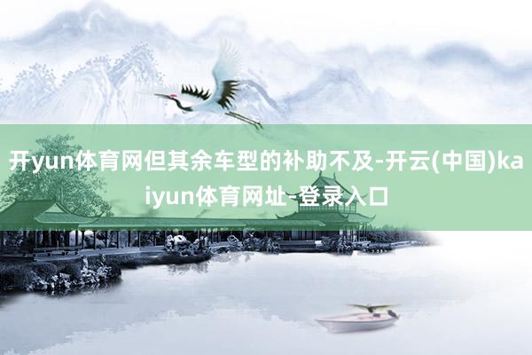 开yun体育网但其余车型的补助不及-开云(中国)kaiyun体育网址-登录入口