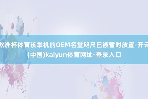 欧洲杯体育该掌机的OEM名堂咫尺已被暂时放置-开云(中国)kaiyun体育网址-登录入口