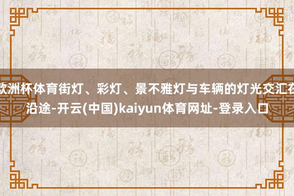 欧洲杯体育街灯、彩灯、景不雅灯与车辆的灯光交汇在沿途-开云(中国)kaiyun体育网址-登录入口