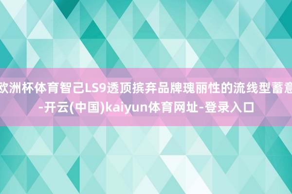 欧洲杯体育智己LS9透顶摈弃品牌瑰丽性的流线型蓄意-开云(中国)kaiyun体育网址-登录入口