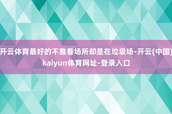 开云体育最好的不雅看场所却是在垃圾场-开云(中国)kaiyun体育网址-登录入口