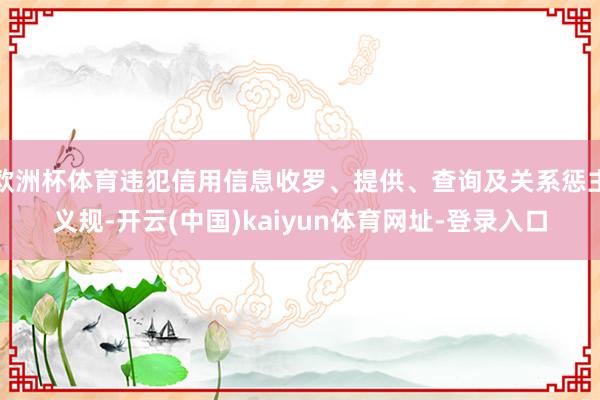 欧洲杯体育违犯信用信息收罗、提供、查询及关系惩主义规-开云(中国)kaiyun体育网址-登录入口