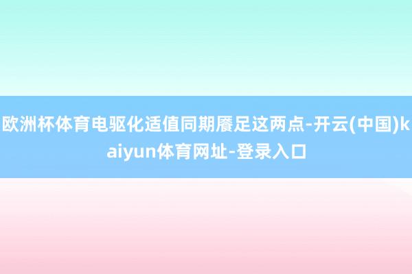 欧洲杯体育电驱化适值同期餍足这两点-开云(中国)kaiyun体育网址-登录入口