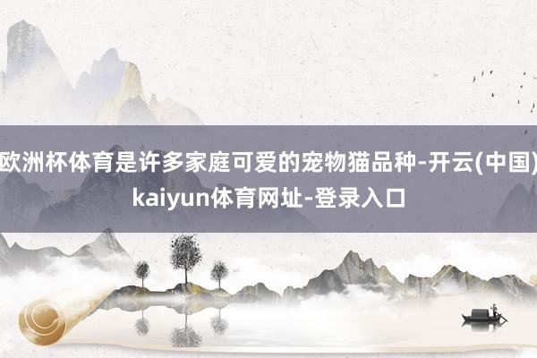 欧洲杯体育是许多家庭可爱的宠物猫品种-开云(中国)kaiyun体育网址-登录入口