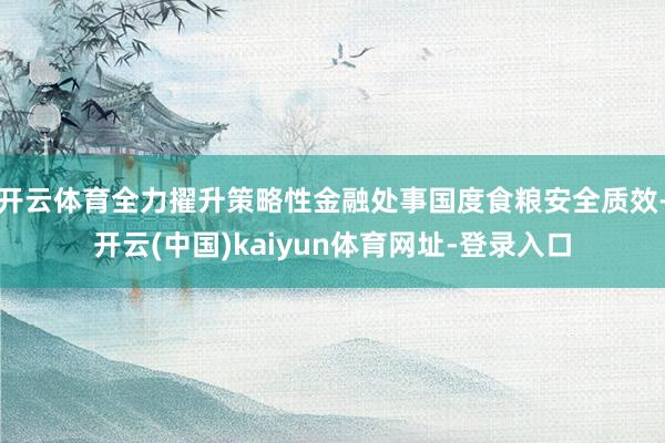 开云体育全力擢升策略性金融处事国度食粮安全质效-开云(中国)kaiyun体育网址-登录入口