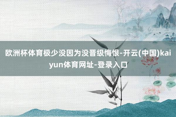 欧洲杯体育极少没因为没晋级悔恨-开云(中国)kaiyun体育网址-登录入口