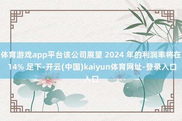 体育游戏app平台该公司展望 2024 年的利润率将在 14% 足下-开云(中国)kaiyun体育网址-登录入口