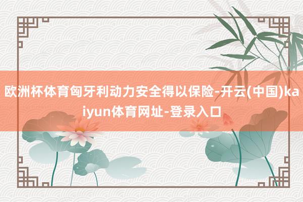 欧洲杯体育匈牙利动力安全得以保险-开云(中国)kaiyun体育网址-登录入口