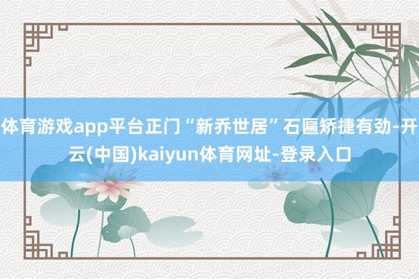 体育游戏app平台正门“新乔世居”石匾矫捷有劲-开云(中国)kaiyun体育网址-登录入口
