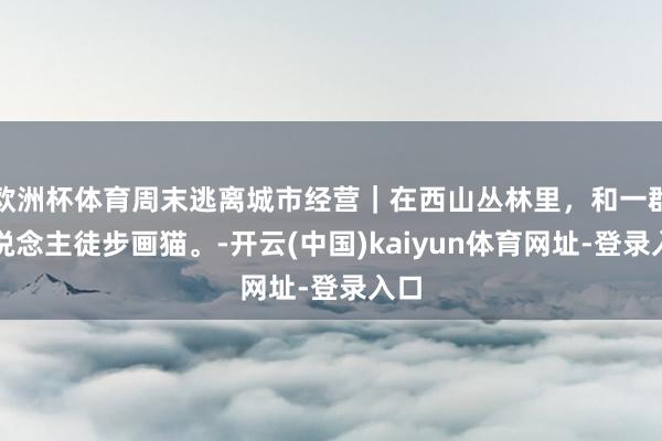 欧洲杯体育周末逃离城市经营｜在西山丛林里，和一群东说念主徒步画猫。-开云(中国)kaiyun体育网址-登录入口