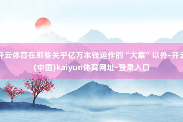 开云体育在那些关乎亿万本钱运作的“大案”以外-开云(中国)kaiyun体育网址-登录入口