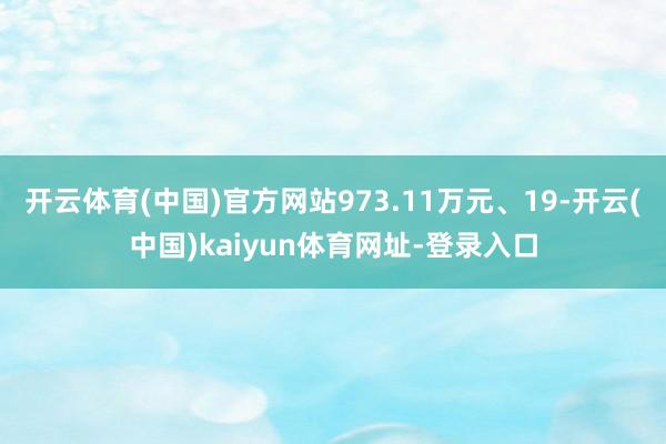 开云体育(中国)官方网站973.11万元、19-开云(中国)kaiyun体育网址-登录入口