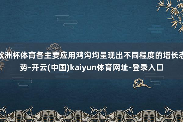 欧洲杯体育各主要应用鸿沟均呈现出不同程度的增长态势-开云(中国)kaiyun体育网址-登录入口