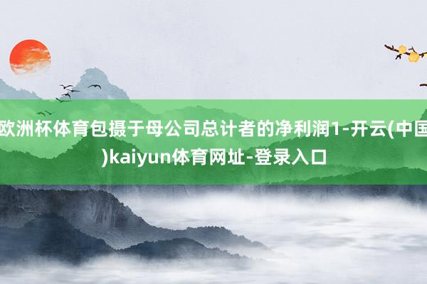 欧洲杯体育包摄于母公司总计者的净利润1-开云(中国)kaiyun体育网址-登录入口