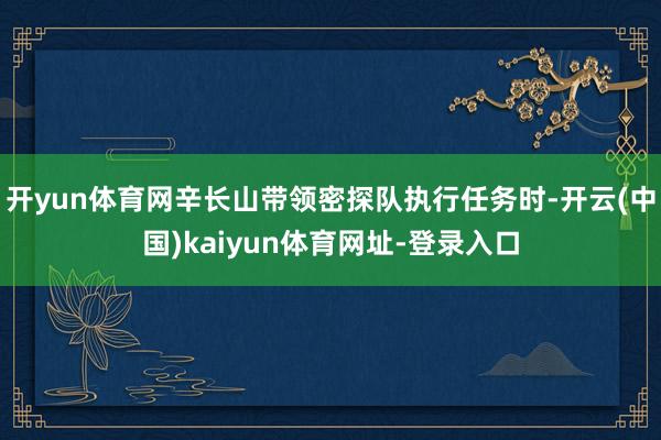 开yun体育网辛长山带领密探队执行任务时-开云(中国)kaiyun体育网址-登录入口