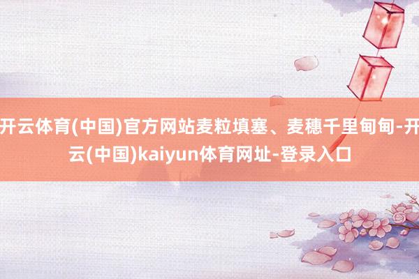 开云体育(中国)官方网站麦粒填塞、麦穗千里甸甸-开云(中国)kaiyun体育网址-登录入口