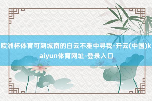 欧洲杯体育可到城南的白云不雅中寻我-开云(中国)kaiyun体育网址-登录入口